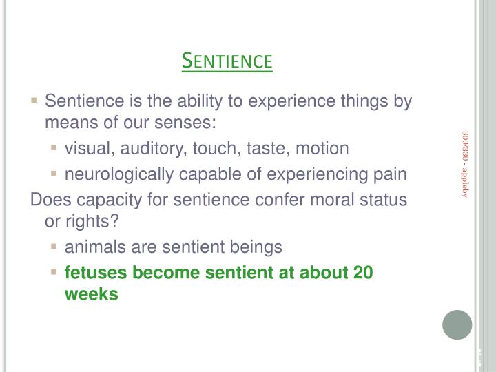 sentience def sentience def