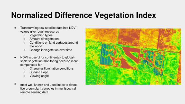 PPT Vegetation PowerPoint Presentation ID 1538383 ppt-vegetation-powerpoint-presentation-id-1538383