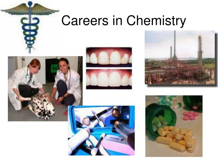Level biology coursework help