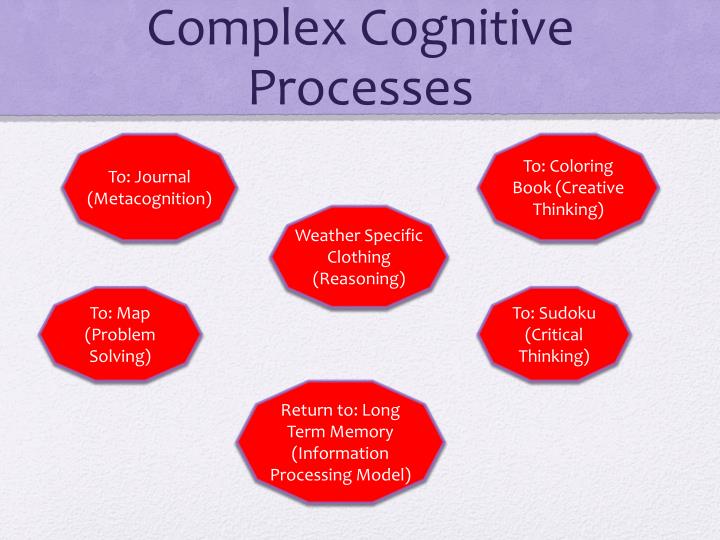 types of cognitive processes