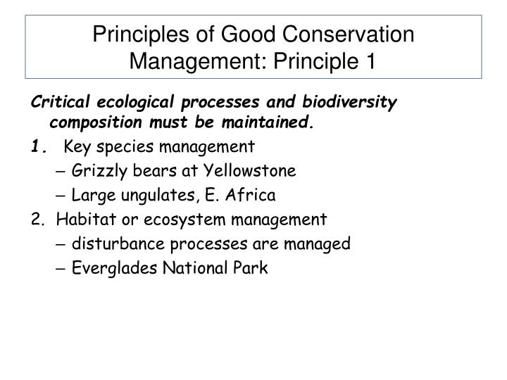 principles of management case studies with answers Principles of management case study - top affordable and trustworthy academic writing aid experienced scholars working in the company will accomplish your assignment within the deadline. principles of management case studies with answers Principles of management case study - top affordable and trustworthy academic writing aid experienced scholars working in the company will accomplish your assignment within the deadline.
