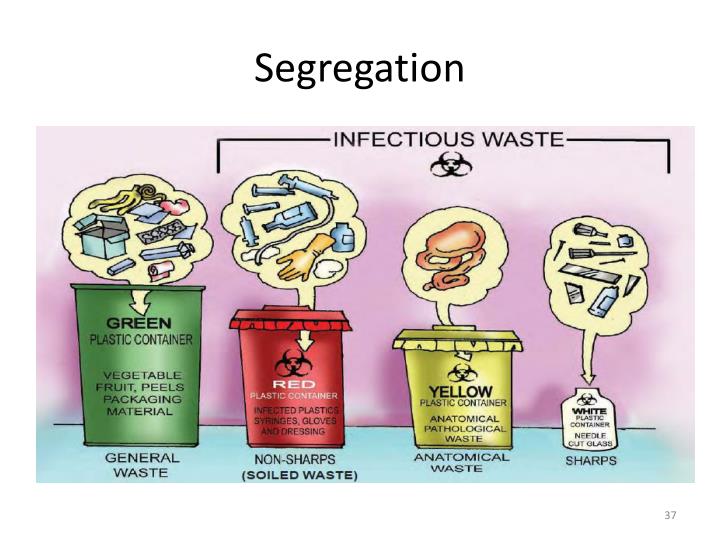 theory about proper segregation of waste Ideal solid waste management at a glance solid waste segregation at source biodegradables gandhian theory of sanitation cee. theory about proper segregation of waste Ideal solid waste management at a glance solid waste segregation at source biodegradables gandhian theory of sanitation cee.