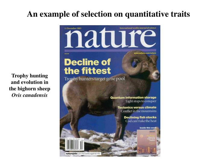 Difference Between Fitness And Natural Selection Difference Between Fitness And Natural Selection