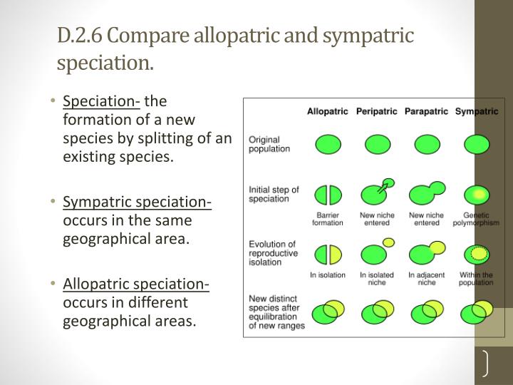 allopatric and sympatric Speciation questions study and discussion questions for speciation by phd students from stanford, harvard, berkeley. allopatric and sympatric Speciation questions study and discussion questions for speciation by phd students from stanford, harvard, berkeley.