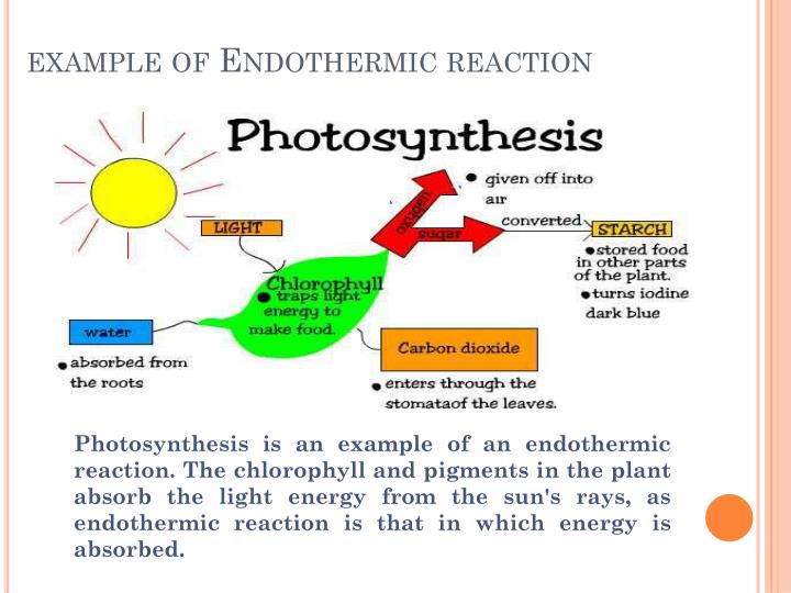 exle of endothermic reaction ppt endothermic and exothermic reaction powerpoint exle of endothermic reaction ppt endothermic and exothermic reaction powerpoint