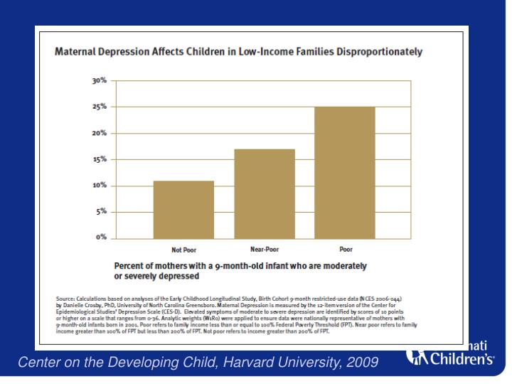 PPT - Addressing Maternal Depression and Trauma in Home