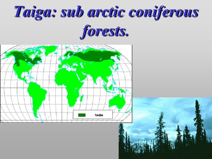 Natural Resources In Sub Arctic Natural Resources In Sub Arctic