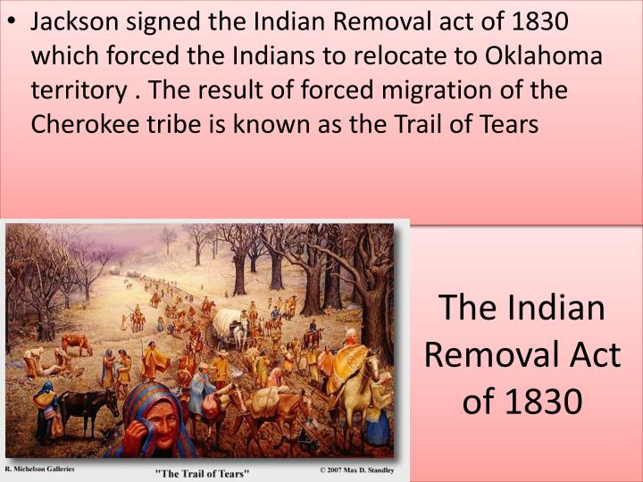 ppt the age of jackson chp 11 powerpoint presentation indian removal act of 1830