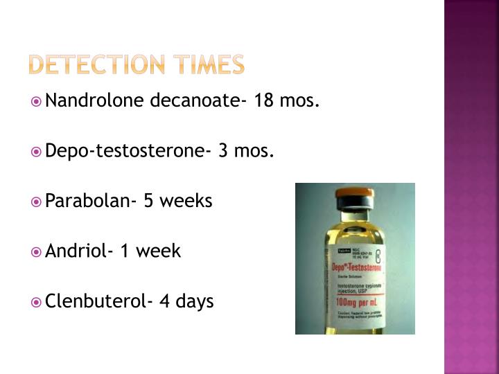 SEARCH AND BUY THIS PRODUCT PPT - The Many Uses of Steroids: From Bodybuilders to