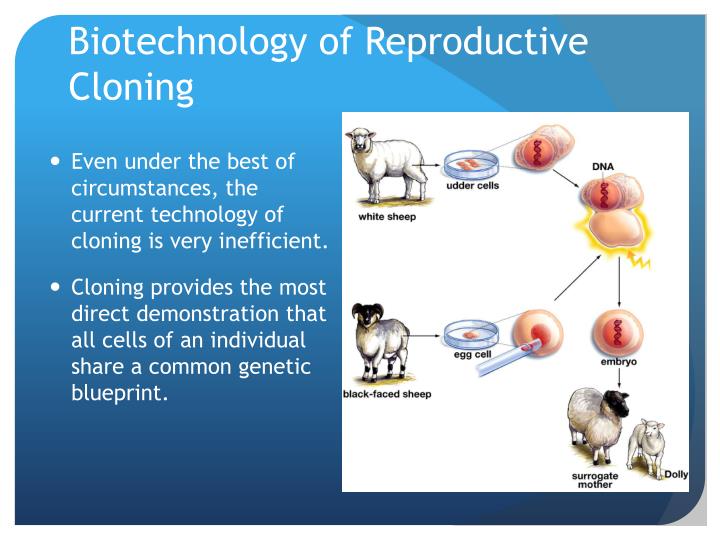 biotechnology in cloning Explore geneé handley's board biotechnology - cloning on pinterest | see more ideas about biotechnology, ap biology and biology. biotechnology in cloning Explore geneé handley's board biotechnology - cloning on pinterest | see more ideas about biotechnology, ap biology and biology.