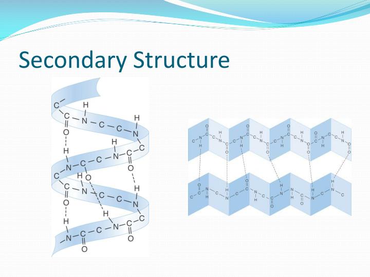 Removal - Chains Removal - Chains