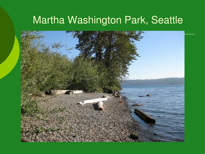 Beaches On Lake Sammamish Wa State Beaches On Lake Sammamish Wa State