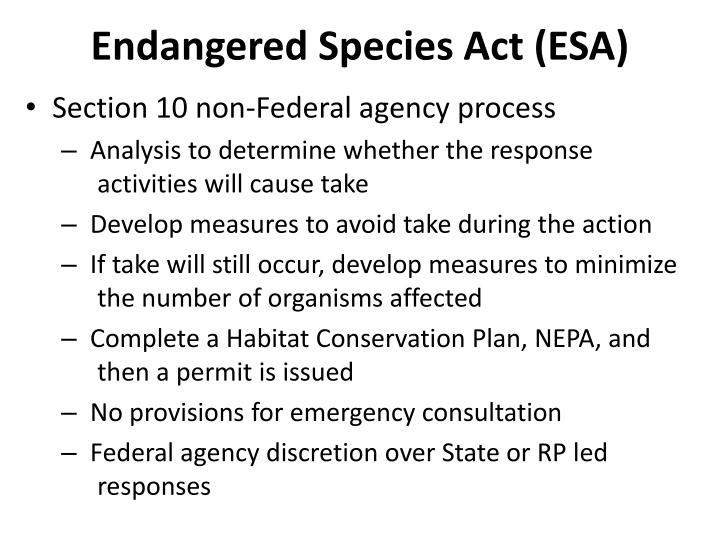 endangered species 4 essay What is known as the endangered species act began in mid-1960 in order for the fish and wildlife service to expand their efforts to protect endangered species, congress enacted the endangered species preservation act of 1966. endangered species 4 essay What is known as the endangered species act began in mid-1960 in order for the fish and wildlife service to expand their efforts to protect endangered species, congress enacted the endangered species preservation act of 1966.
