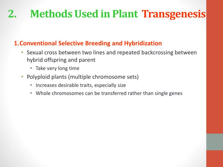 selective breeding essay selective breeding essay