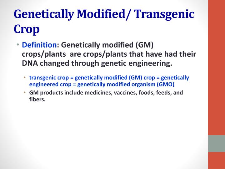 the plight of genetically engineered food essay the plight of genetically engineered food essay
