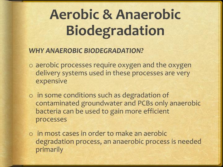 aerobic anaerobic biodegradation This review gives an overview on anaerobic biodegradation processes, the methods for testing anaerobic biodegradability, and the anaerobic biodegradability of different detergent surfactant types (anionic, nonionic, cationic, amphoteric surfactants. aerobic anaerobic biodegradation This review gives an overview on anaerobic biodegradation processes, the methods for testing anaerobic biodegradability, and the anaerobic biodegradability of different detergent surfactant types (anionic, nonionic, cationic, amphoteric surfactants.
