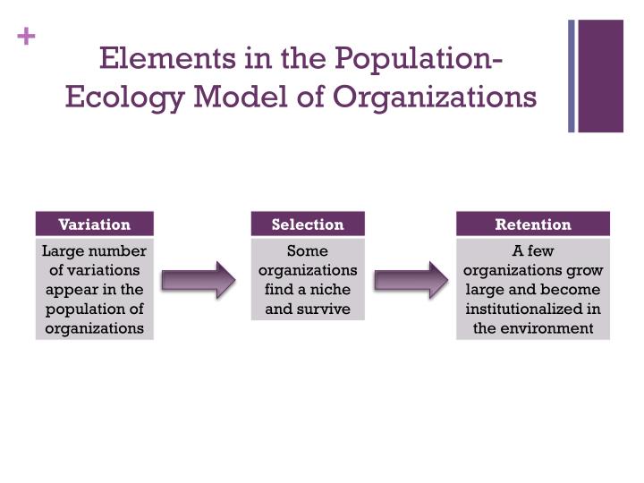 the population ecology of organizations Ment of a 15-year old population of organization studies hannan and freeman co-authored the article 'population ecology of organizations' in the 1977 issue. the population ecology of organizations Ment of a 15-year old population of organization studies hannan and freeman co-authored the article 'population ecology of organizations' in the 1977 issue.