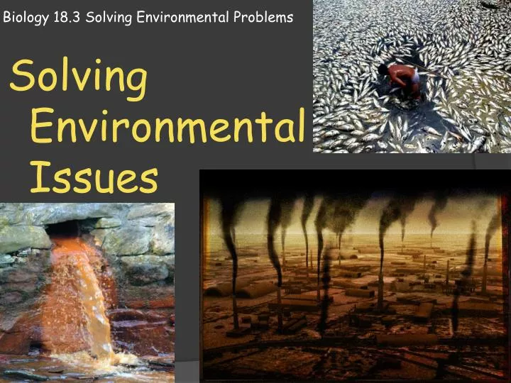 Solving Environmental Problems