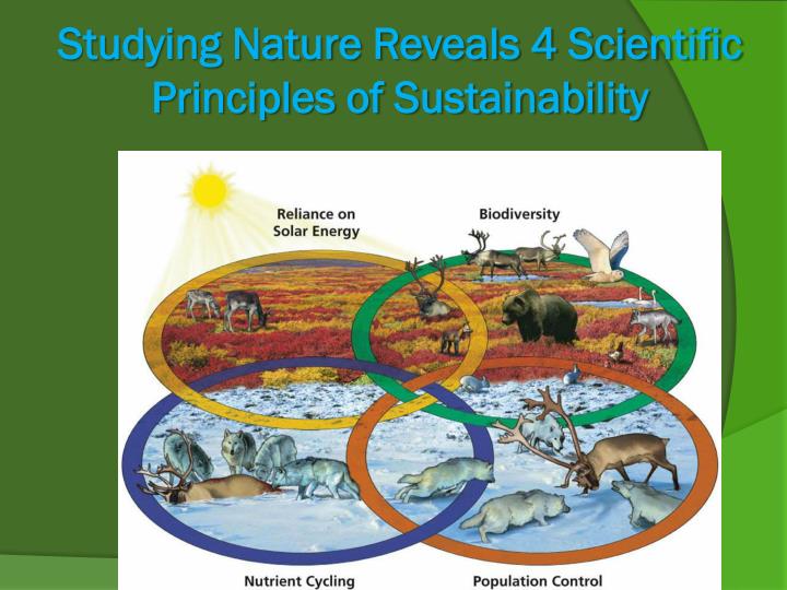 principles of nature These ways represent a fundamental aspect of the nature of science and reflect how there are generally accepted ethical principles in the conduct of science. principles of nature These ways represent a fundamental aspect of the nature of science and reflect how there are generally accepted ethical principles in the conduct of science.