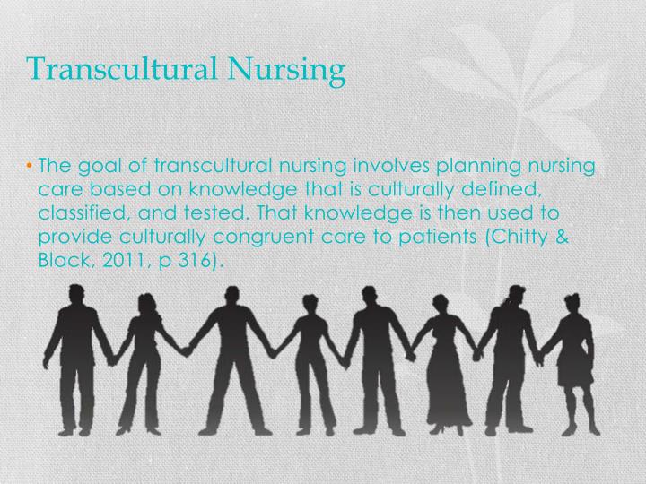 NUR 3045 Culture in Nursing Practice Assignments