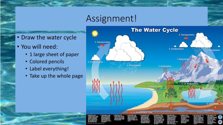 Water cycle homework help