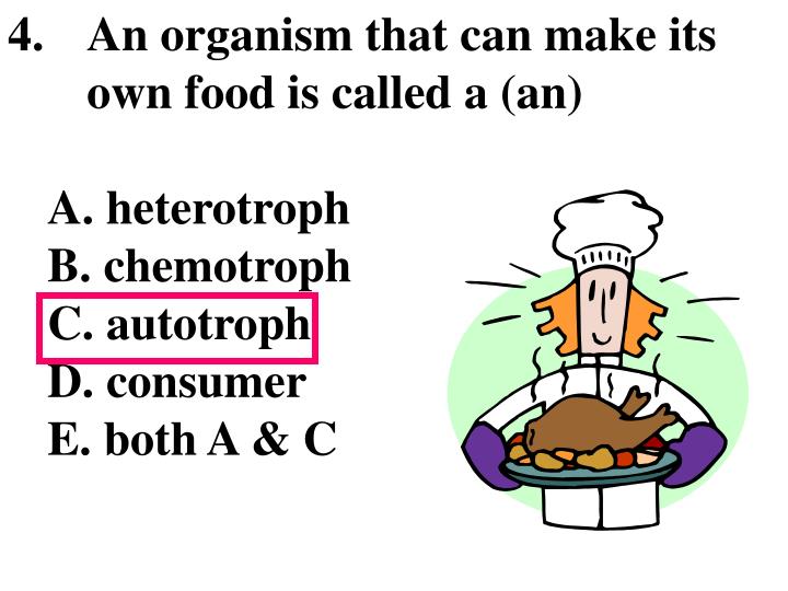 PPT DECOMPOSERS AND PowerPoint Presentation ID 1723121 ppt-decomposers-and-powerpoint-presentation-id-1723121