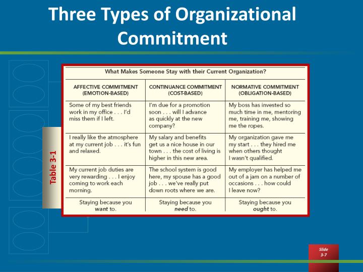 social organization examples