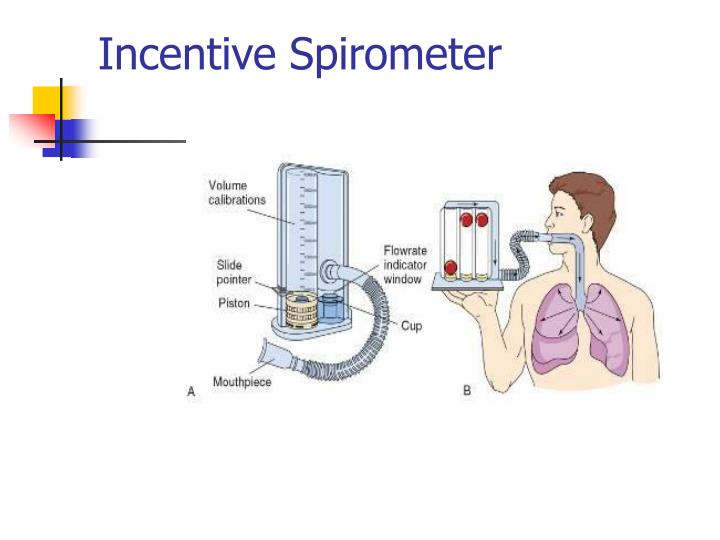 PPT Timby/Smith Introductory MedicalSurgical Nursing, 10/e PowerPoint Presentation ID1746514