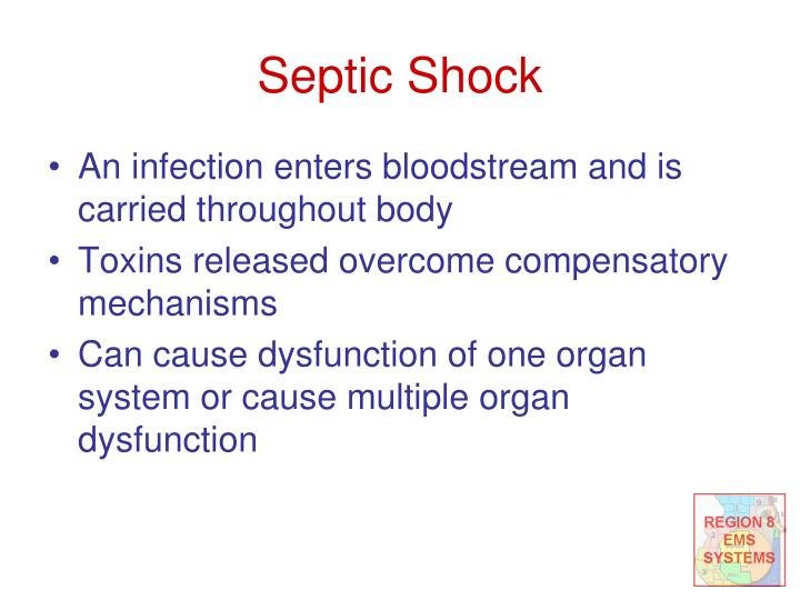 septic system shock treatments