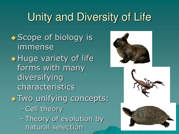 Ppt Biology And The Tree Of Life Powerpoint Presentation Id