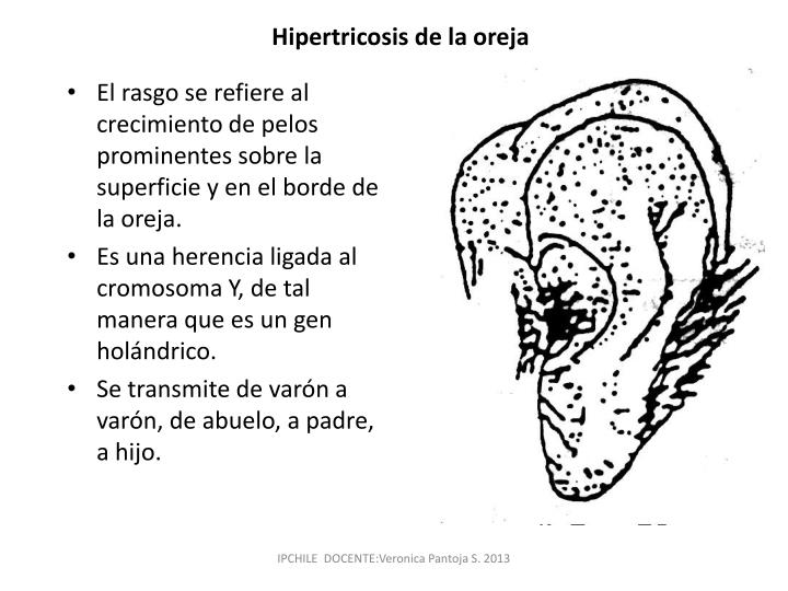Para los cabellos la máscara de la estampa