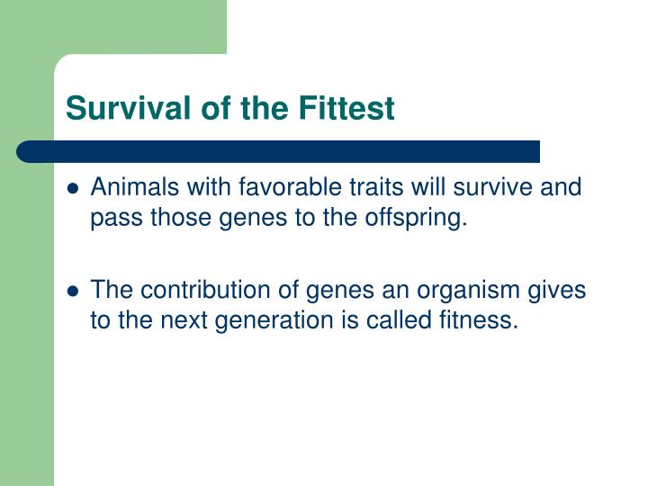 what does darwin mean by survival of the fittest