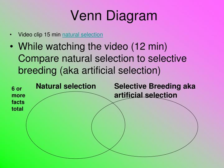 Compare Survival Of The Fittest And Natural Selection Compare Survival Of The Fittest And Natural Selection