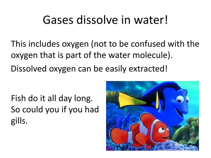 How Does Co2 Dissolve In Water