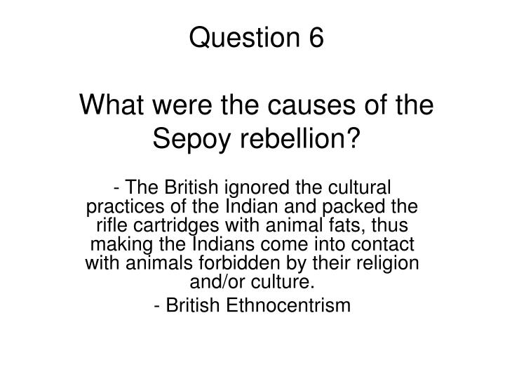 Anti american imperialism essays