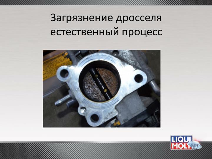 препараты для очистки от паразитов препараты для очистки от паразитов