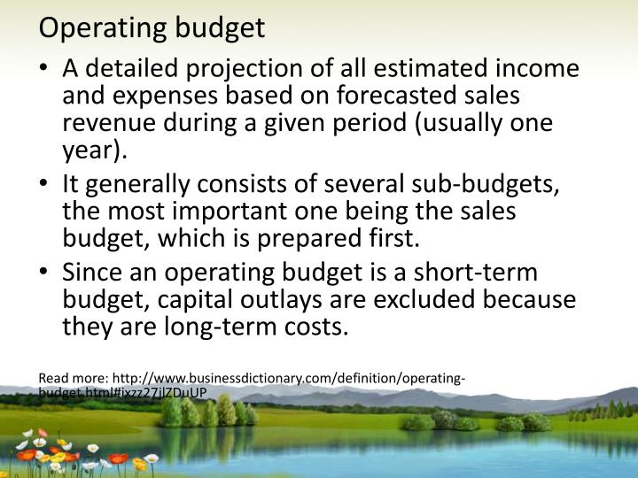 define operating budget