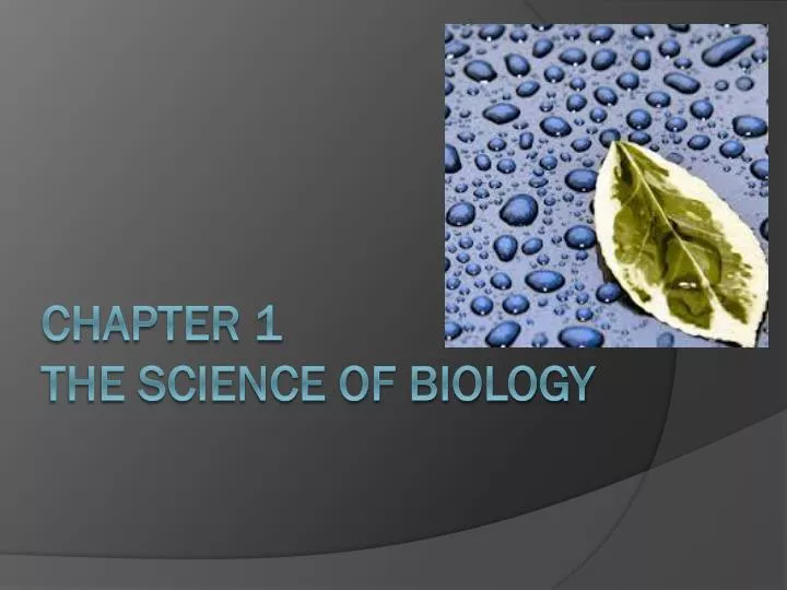 Amabis fundamentos da biologia moderna download