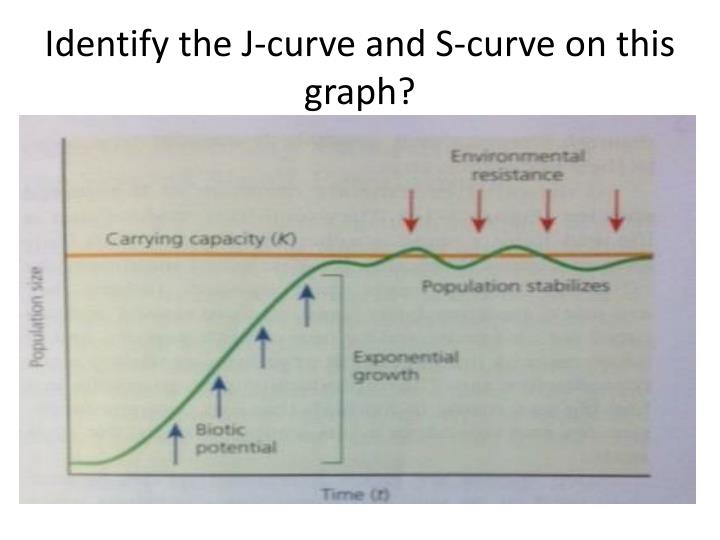PPT Population Dynamics PowerPoint Presentation ID1862285