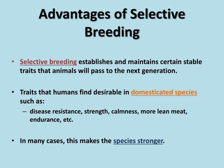 pros and cons of selective breeding
