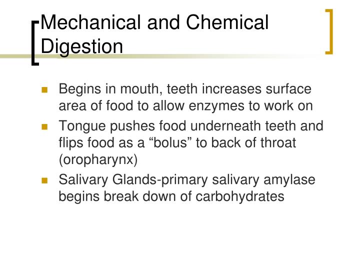 PPT Introduction to the Gastrointestinal System PowerPoint Presentation ID1865585