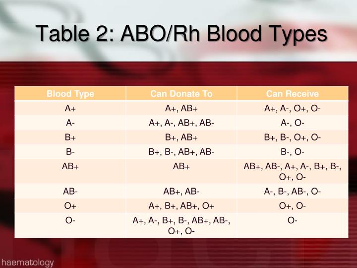 PPT - ABO/ Rh Blood Typing PowerPoint Presentation - ID:1867905