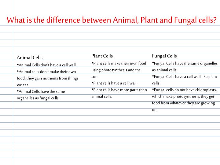 ppt-cells-powerpoint-presentation-id-1868190