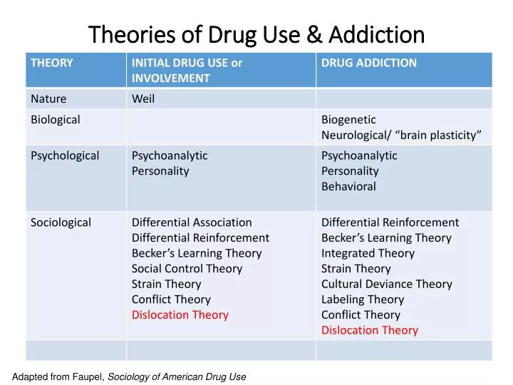Theories and a biopsychology of addiction