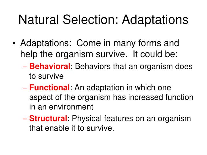 PPT - The Theory Of Evolution PowerPoint Presentation - ID:1872023