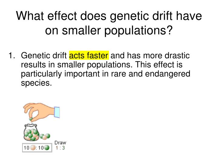 PPT - The Theory Of Evolution PowerPoint Presentation - ID:1872023