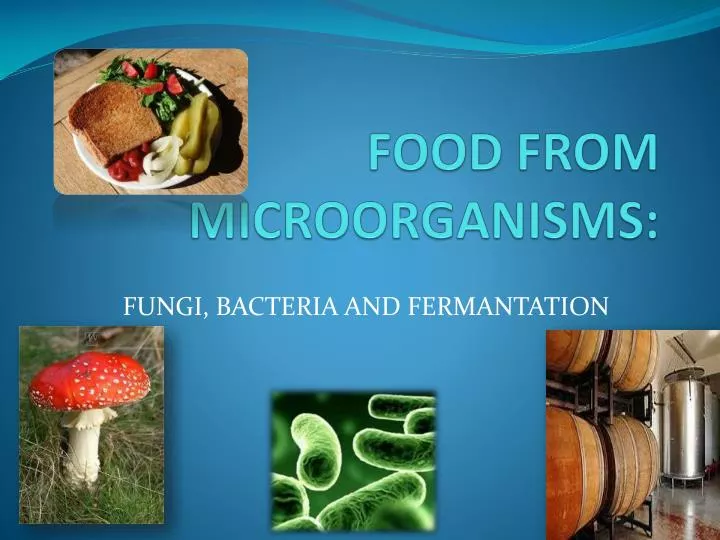 Short essay questions in microbiology