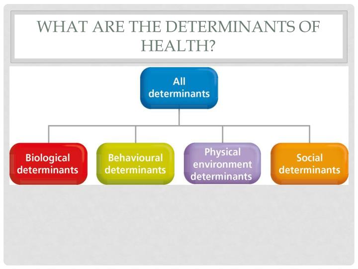 determinants of health Through the work of researchers such as sir michael marmot, we now understand that good health does not lie solely with medical interventions but also with living conditions and. determinants of health Through the work of researchers such as sir michael marmot, we now understand that good health does not lie solely with medical interventions but also with living conditions and.