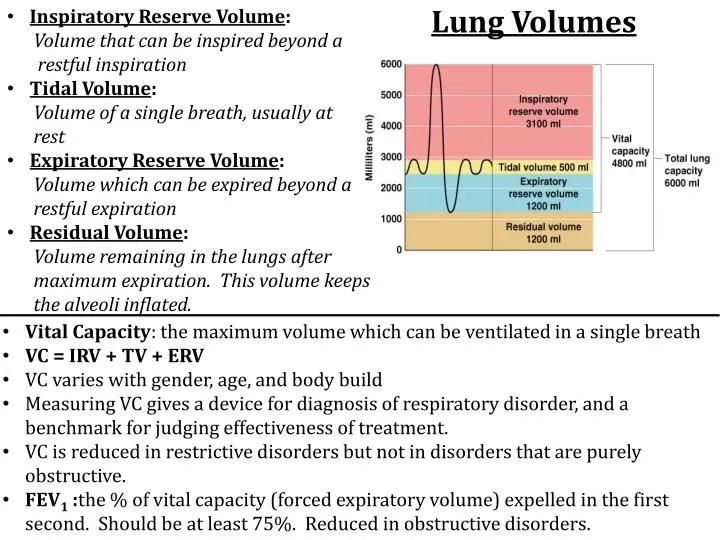 normal tidal volume values