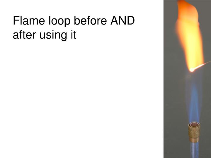 PPT Ex. 8 Aseptic Technique Inoculating Different Types of Media